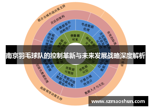 南京羽毛球队的控制革新与未来发展战略深度解析