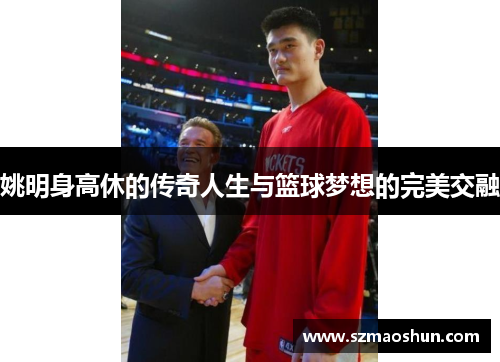 姚明身高休的传奇人生与篮球梦想的完美交融