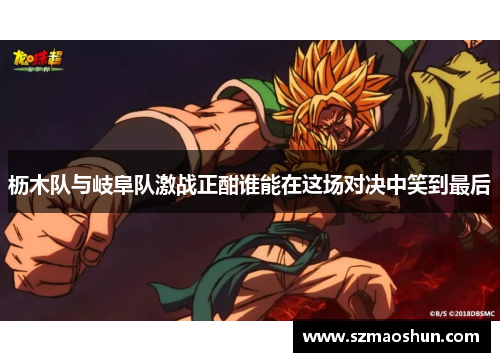 枥木队与岐阜队激战正酣谁能在这场对决中笑到最后